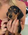 jadelawrence5 Altpins Profile Picture