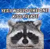 japp_leack Altpins Profile Picture