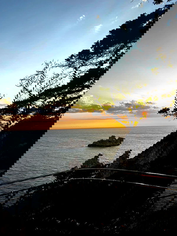 jaroslava_klavir jaroslava_klavir archive image