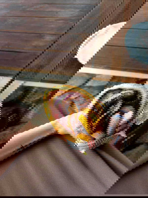 jaroslava_klavir jaroslava_klavir archive image