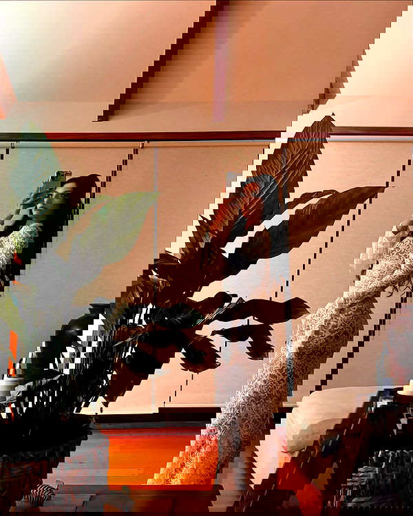 jasminxie2 image ~ Altpins