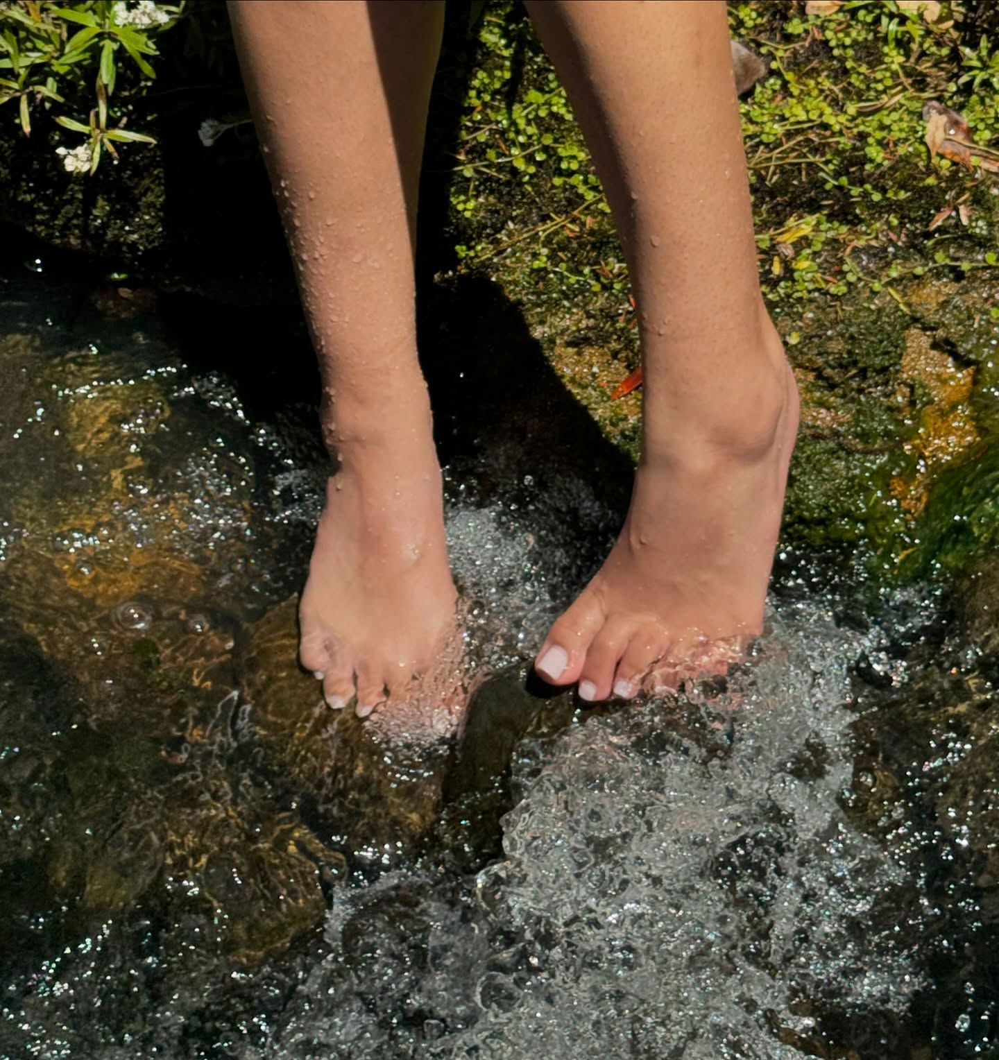 jasminxie2 instagram image archive image