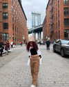 jaureab Altpins Profile Picture