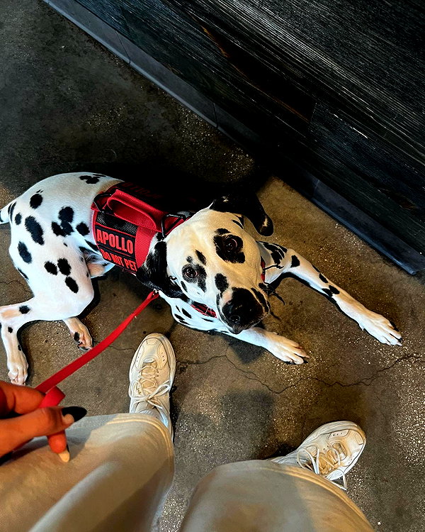 jayyymathis instagram image archive image