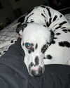 jayyymathis Altpins Profile Picture