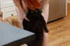 jennalynnmeowri Altpins Profile Picture