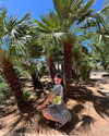 jenniferhogetoorn Altpins Profile Picture