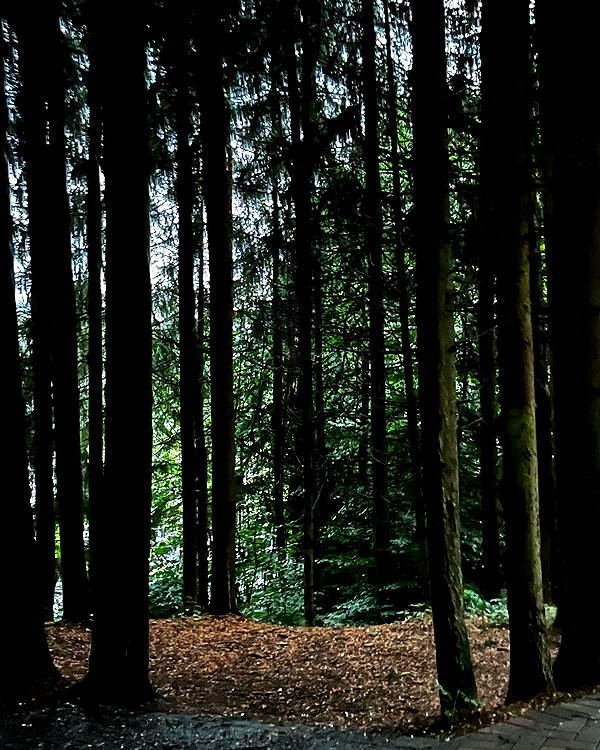 jenniferhogetoorn instagram image archive image