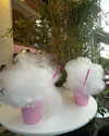 jenniferhogetoorn Altpins Profile Picture