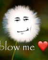 jennkujo Altpins Profile Picture