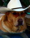 jennnawilsonn Altpins Profile Picture