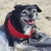 jenny.kaly Altpins Profile Picture