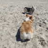 jenny.kaly Altpins Profile Picture