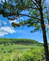 jessie_ng06 Altpins Profile Picture