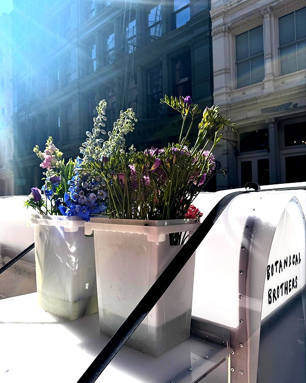jjas.ding instagram image archive image