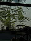 jjas.ding Altpins Profile Picture