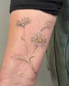 jnk.tattoo Altpins Profile Picture