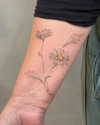 jnk.tattoo Altpins Profile Picture