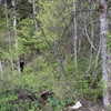 jordan_gatts Altpins Profile Picture