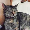 joslinw Altpins Profile Picture