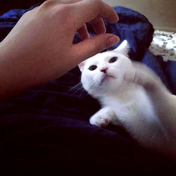 joslinw instagram image archive image