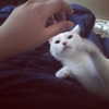 joslinw Altpins Profile Picture
