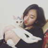joslinw Altpins Profile Picture