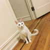 joslinw Altpins Profile Picture
