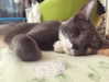 joslinw Altpins Profile Picture