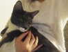 joslinw Altpins Profile Picture