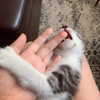 joslinw Altpins Profile Picture