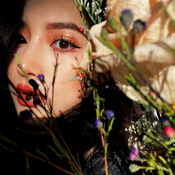 joslinw instagram image archive image