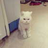 joslinw Altpins Profile Picture