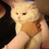 joslinw Altpins Profile Picture