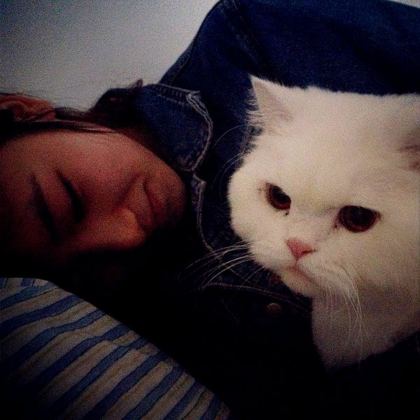 joslinw instagram image archive image