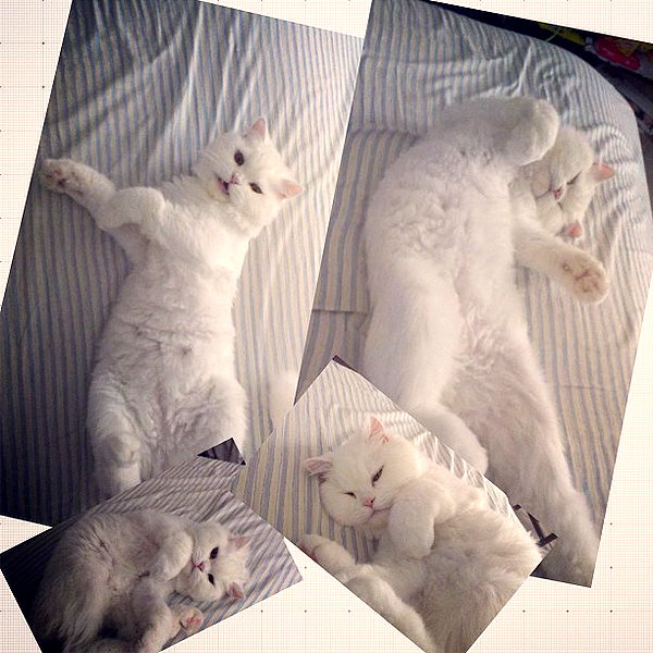 joslinw instagram image archive image