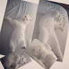 joslinw Altpins Profile Picture