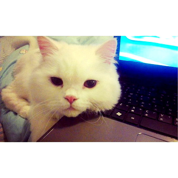 joslinw instagram image archive image