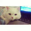 joslinw Altpins Profile Picture