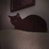 joslinw Altpins Profile Picture
