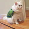 joslinw Altpins Profile Picture