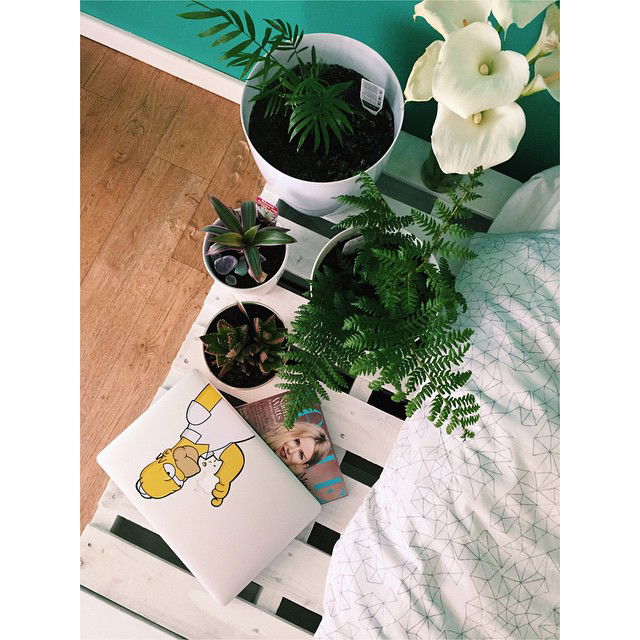 jtilb instagram image archive image