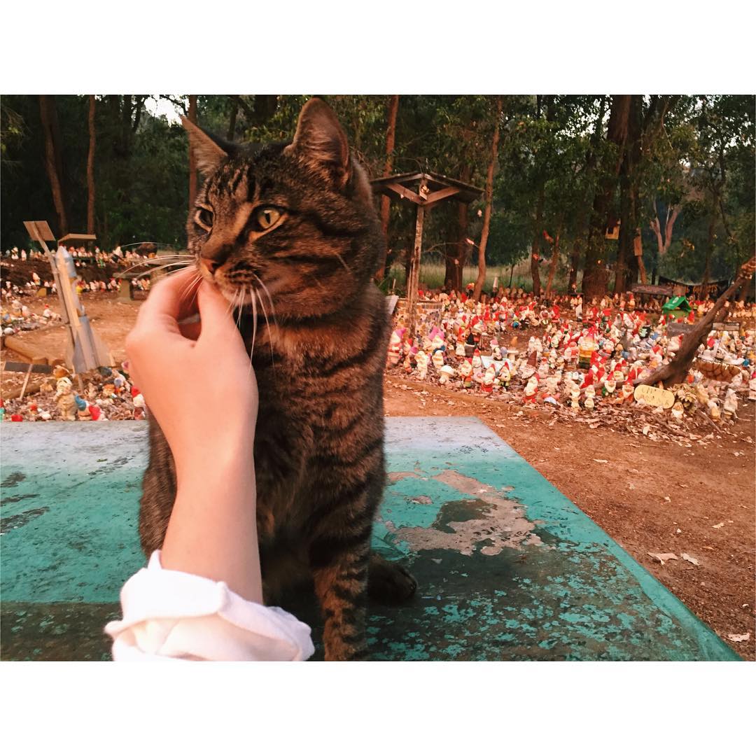 jtilb instagram image archive image