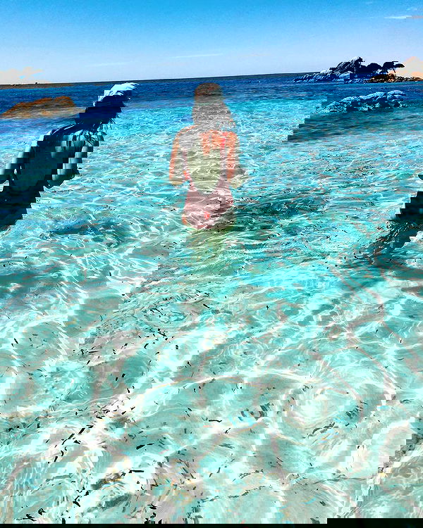 jtilb image ~ Altpins