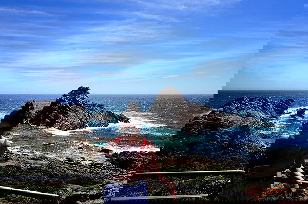 jtilb image ~ Altpins