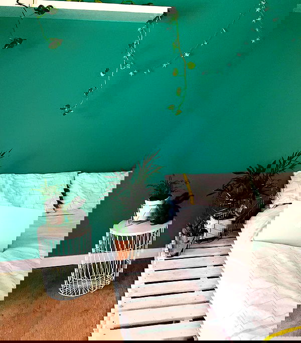 jtilb image ~ Altpins