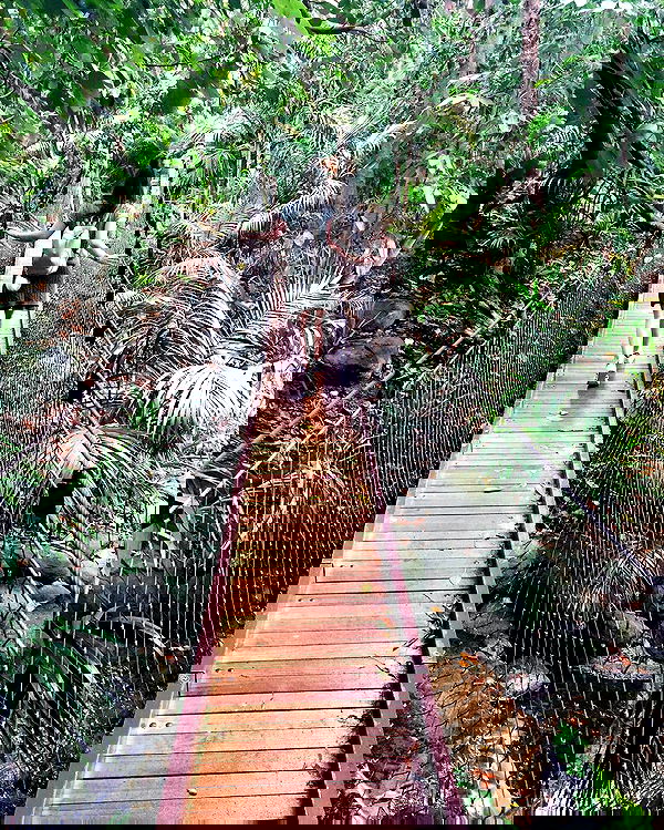 jtilb image ~ Altpins