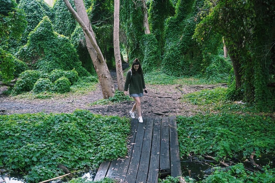 jtilb instagram image archive image