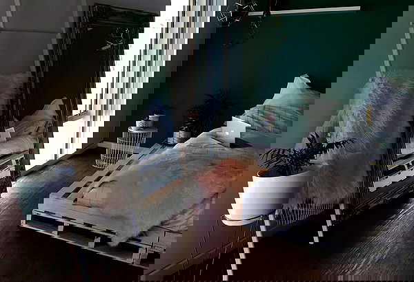 jtilb image ~ Altpins