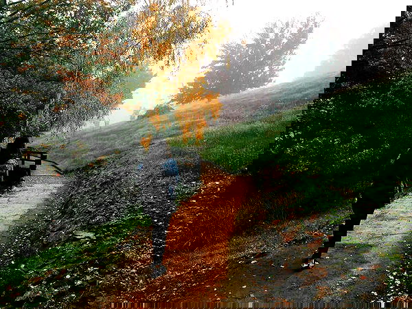 jtilb image ~ Altpins